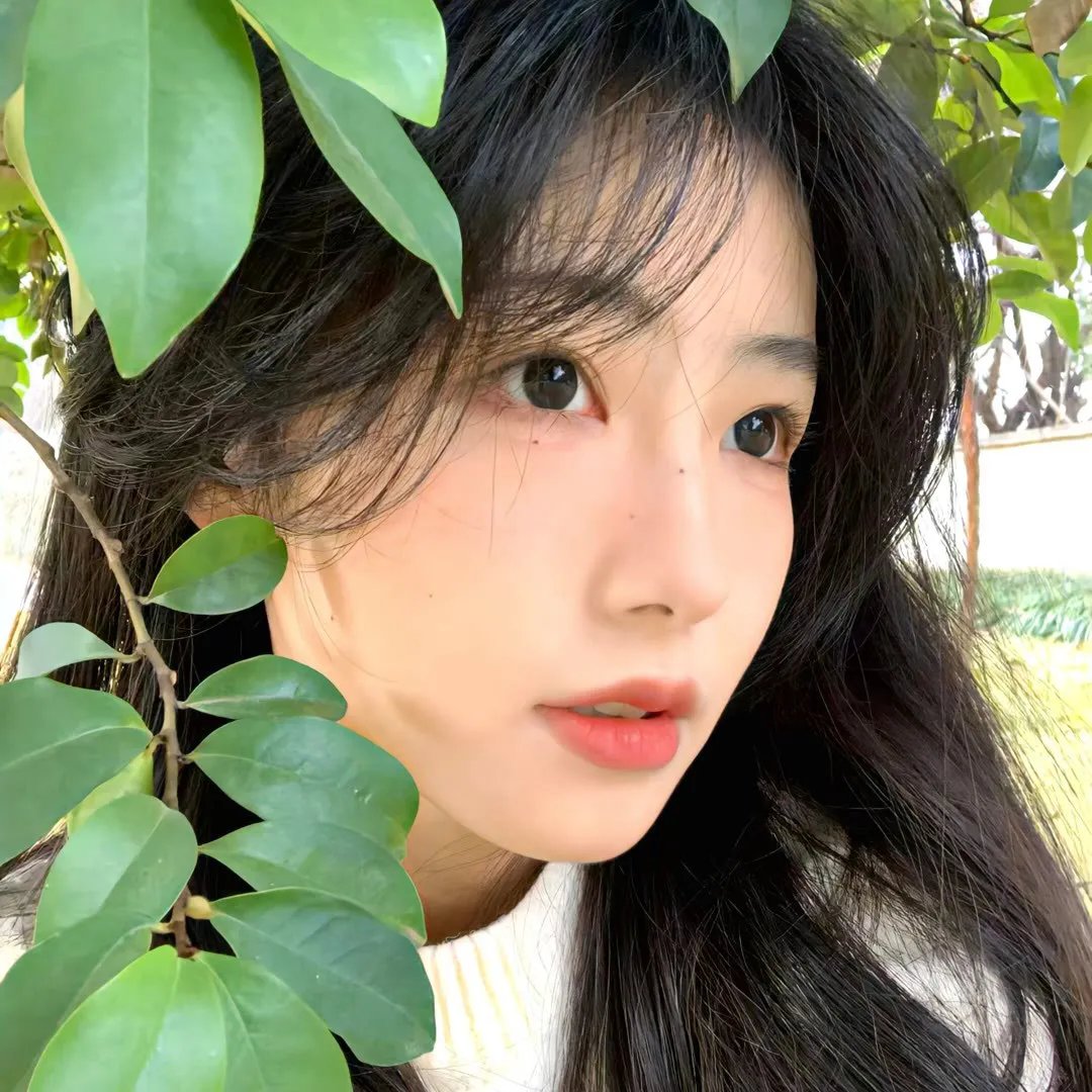 真爱试验